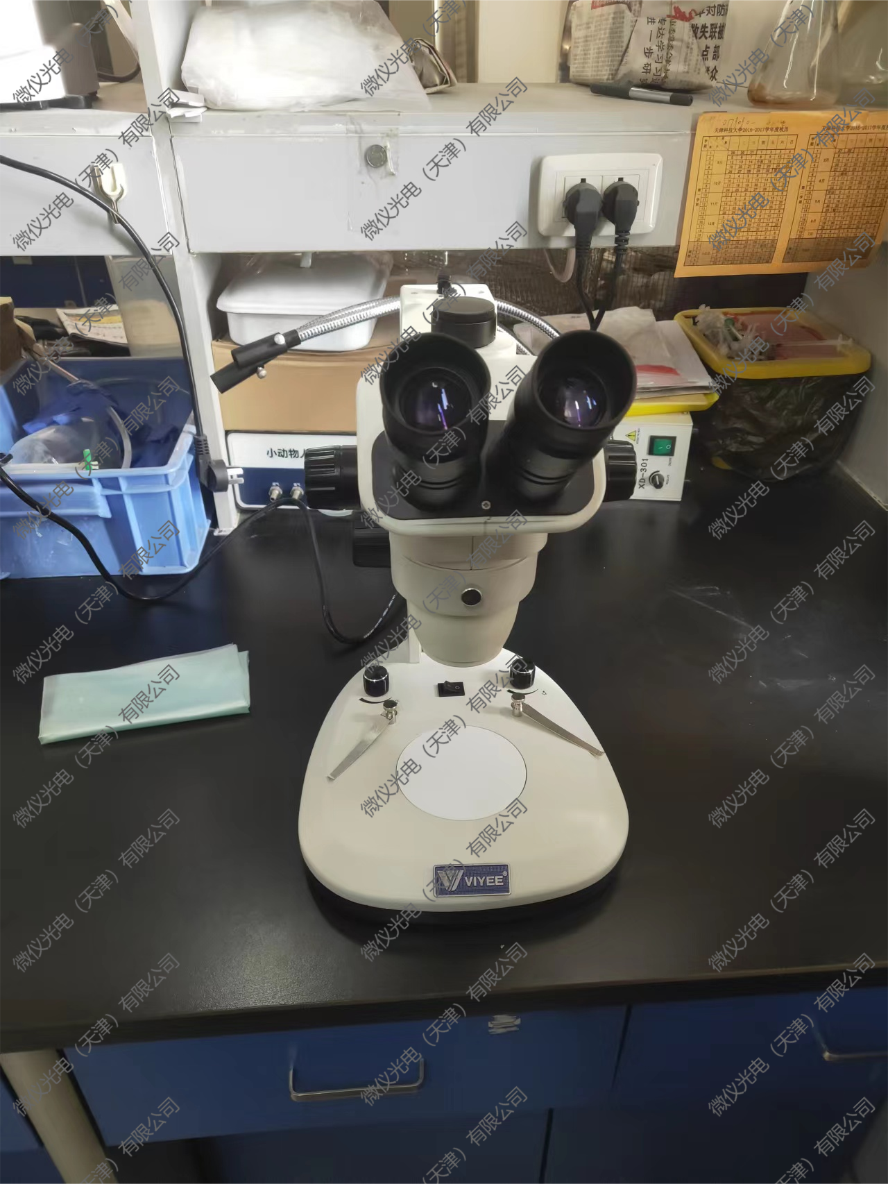 The School of Bioengineering at Tianjin University of Science and Technology procured the stereomicroscope WYT-ET for observing the visceral tissue of mice