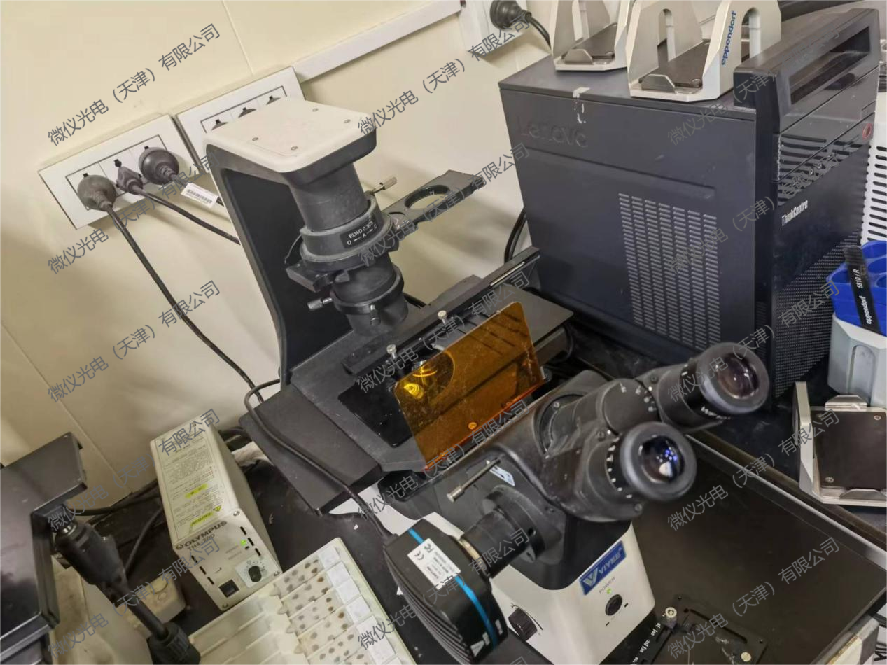 Tianjin Nankai University Medical College purchased WYS-41XDY for fluorescence-stained cell fluorescence observation Tianjin Nankai University Medical College purchased WYS-41XDY for fluorescence-stained cell fluorescence observation