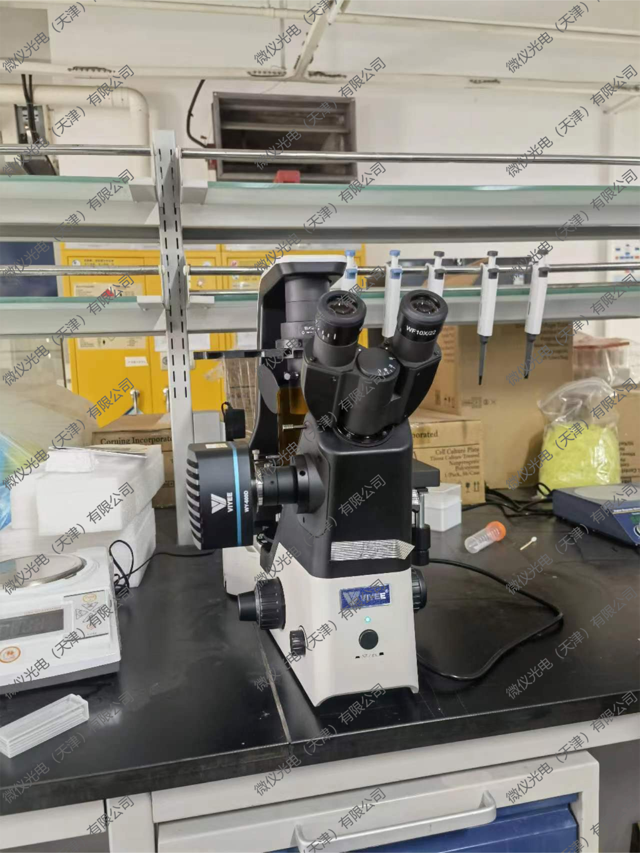 The School of Life Sciences, Nankai University, Goumai, is a research-grade trinocular inverted fluorescence microscope WYS-41XDY for fluorescence observation of cells stained by fluorescence