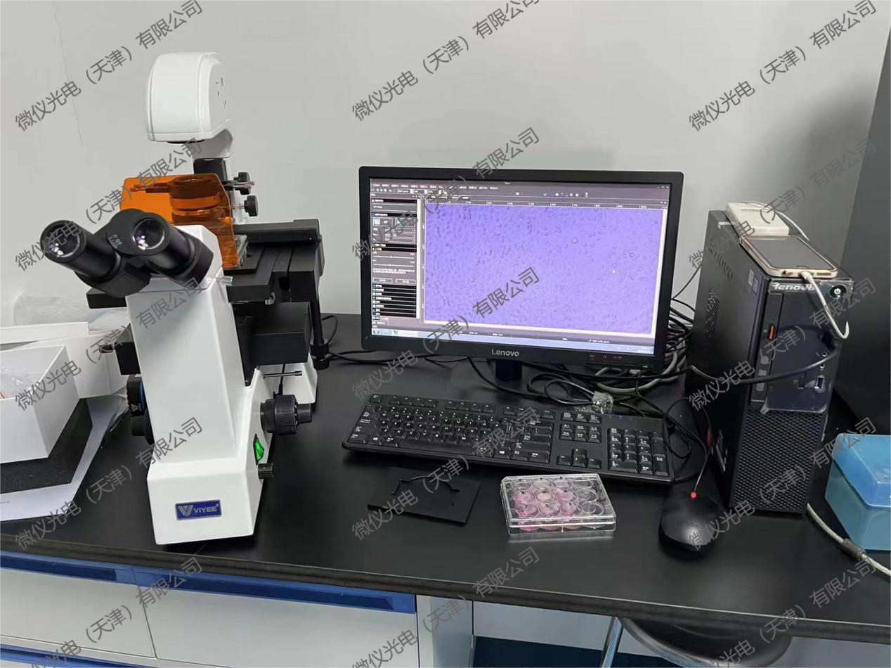 The School of Life Science at Nankai University purchased the Trinocular Fluorescence Microscope System V2950-830S for fluorescence observation of cells stained with fluorescence The School of Life Science at Nankai University purchased the Trinocular Fluorescence Microscope System V2950-830S for fluorescence observation of cells stained with fluorescence