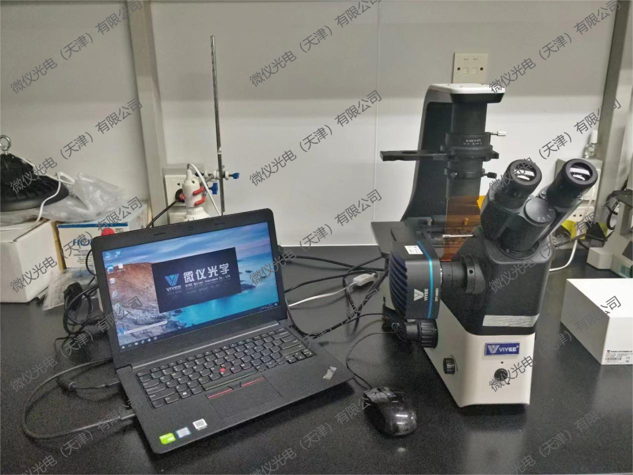 The National Key Laboratory of Nankai University procured the WYS-41XDY fluorescence microscope for fluorescence observation of cells stained with fluorescence