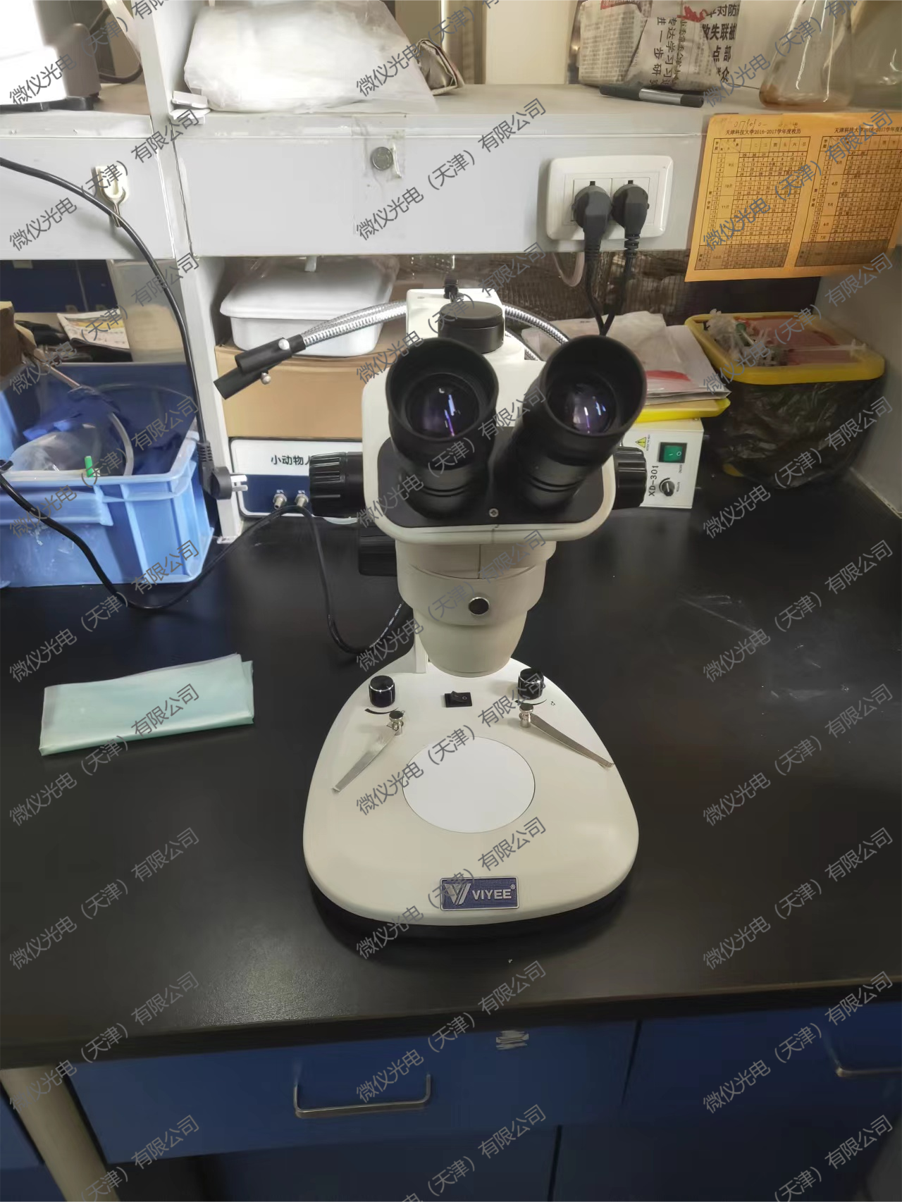 The School of Biology at Tianjin University of Science and Technology procured the WYT-ET trinocular stereomicroscope for observing mouse visceral tissue The School of Biology at Tianjin University of Science and Technology procured the WYT-ET trinocular stereomicroscope for observing mouse visceral tissue