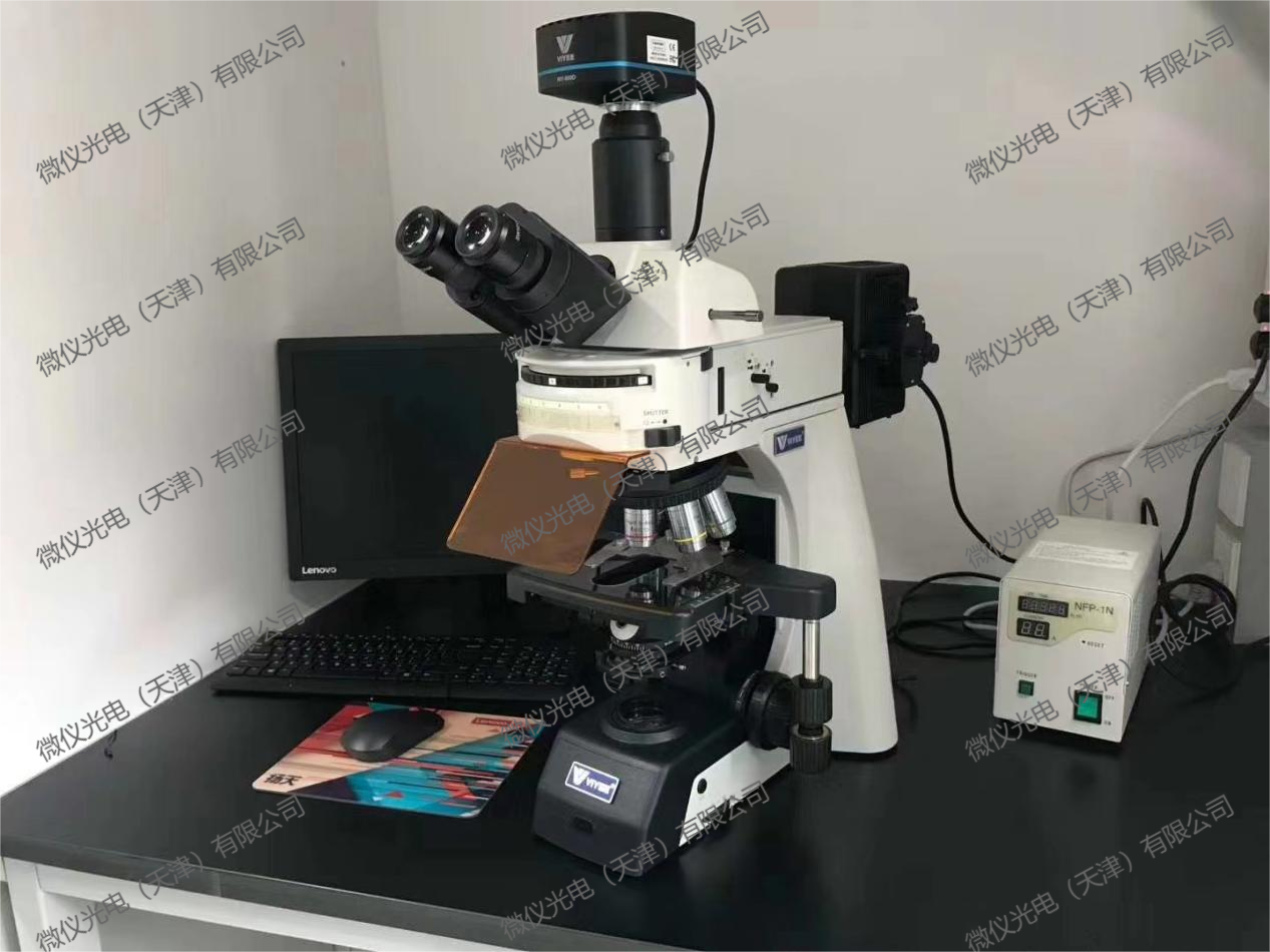 Nankai University Medical School purchased the fluorescence microscope WY-910-FL for observation of fluorescence-stained cell crawlers Nankai University Medical School purchased the fluorescence microscope WY-910-FL for observation of fluorescence-stained cell crawlers