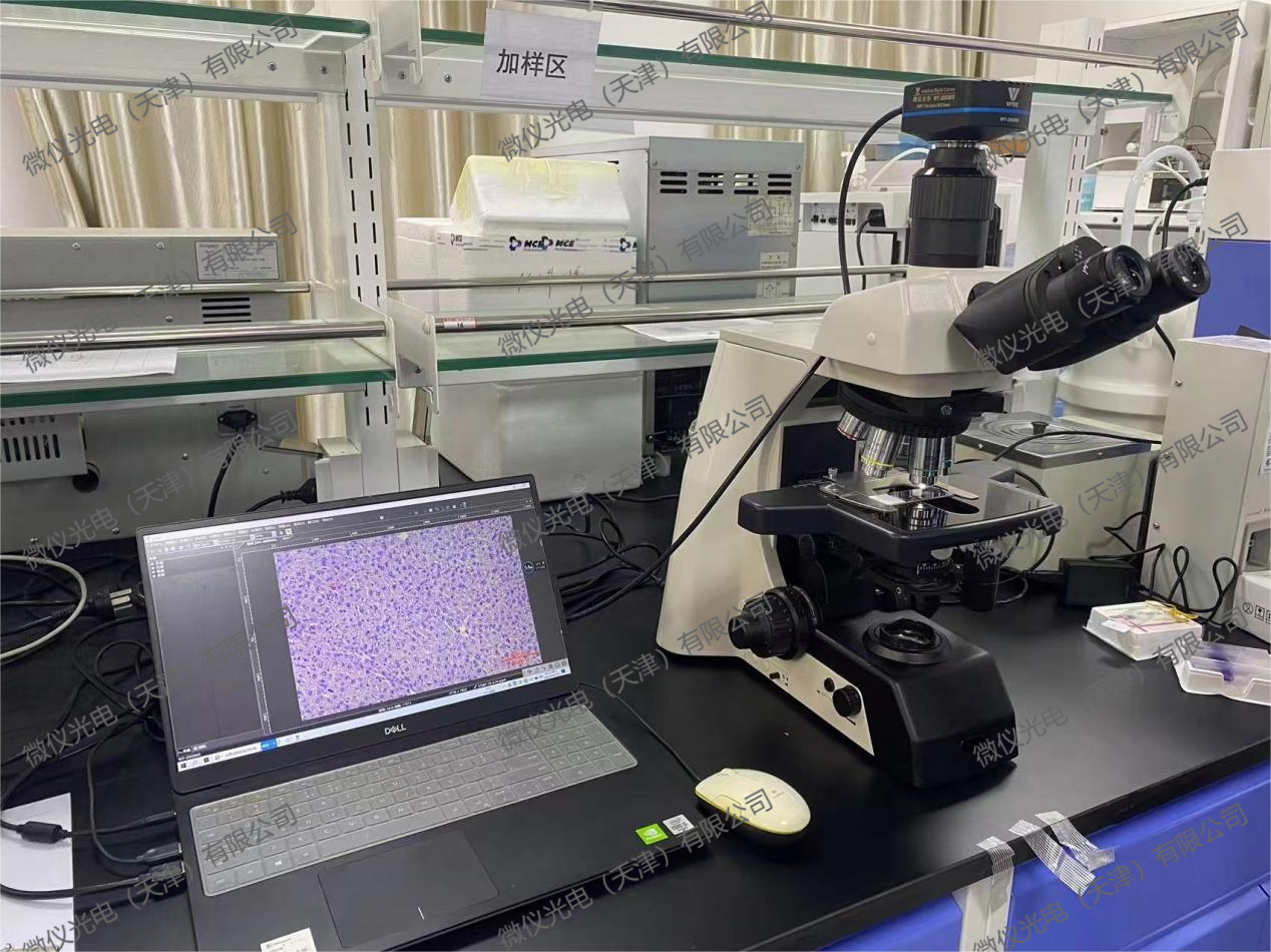 Baikuirui (Tianjin) Biotechnology Co., Ltd. purchased our company's biological microscopy system WYS-910-630M