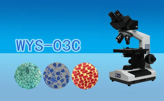 Biological Microscopy WYS-03C