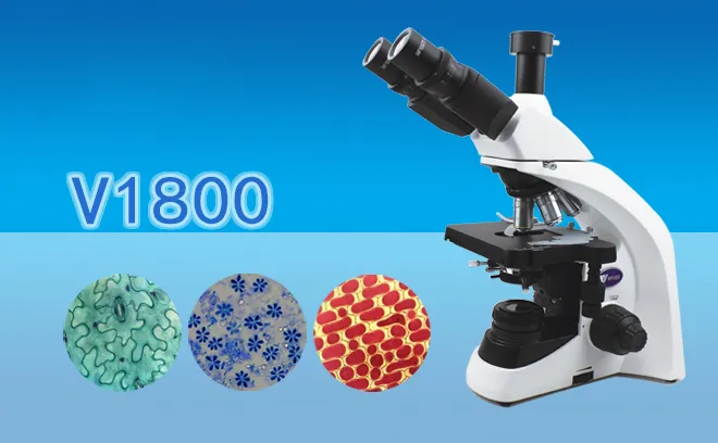 Trinocular Inverted Biological Microscope V1800