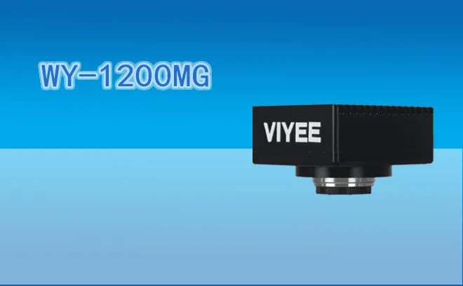 WY-1200MG